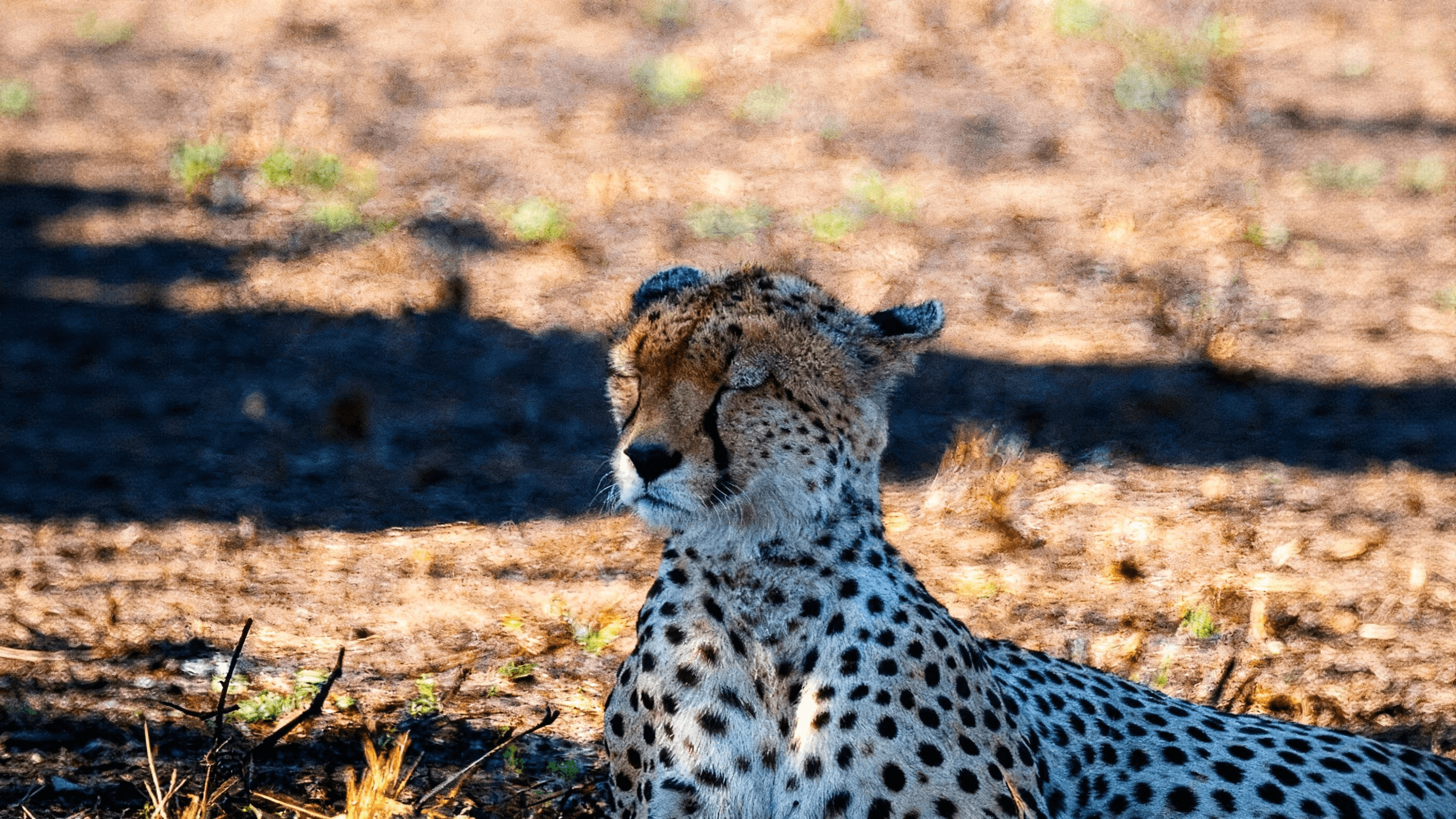 Tanzania