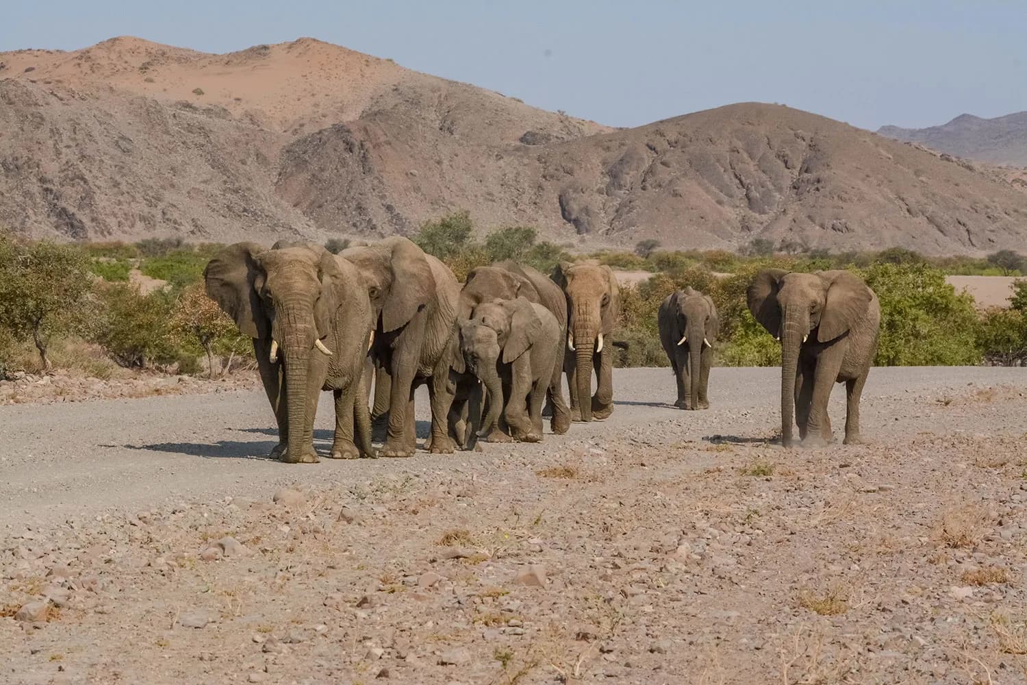Namibia Country Info - Image 1