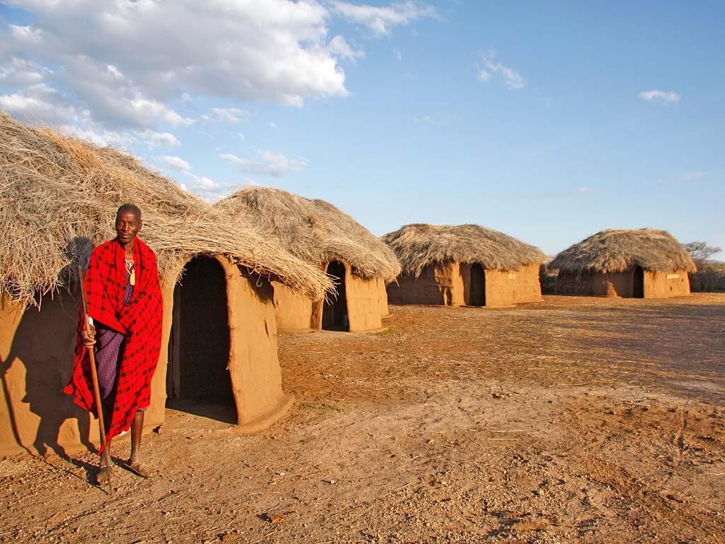 Discover Tanzania: Where Every Safari Becomes an Unforgettable Story - Image 4