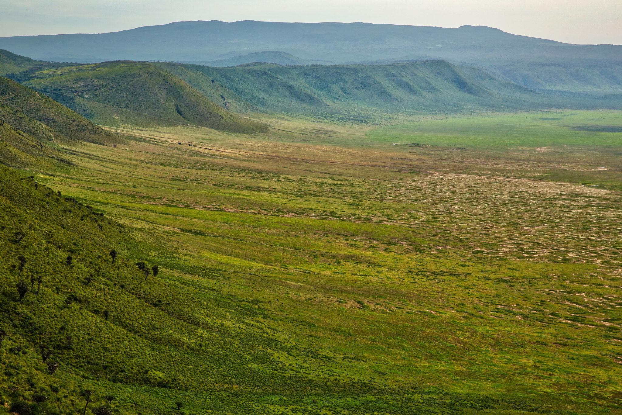 Best Seasons for a Tanzania Safari: When the Wild Comes Alive Across the Plains - Image 7