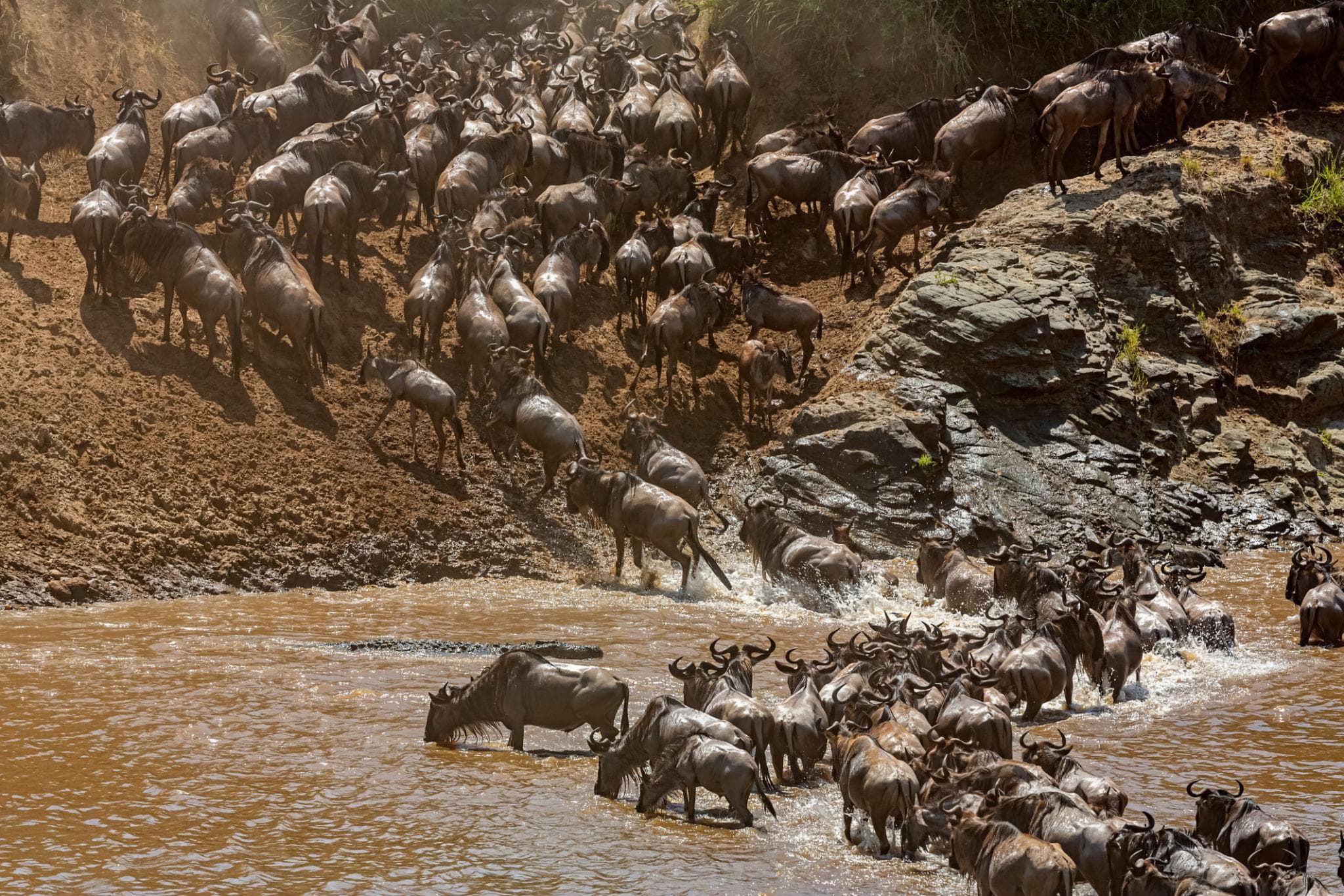 The Great Migration: Africa’s Greatest Wildlife Journey Across Tanzania’s Untamed Plains - Image 6