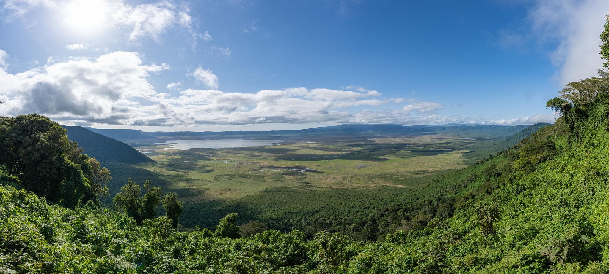 Discover Tanzania: Where Every Safari Becomes an Unforgettable Story - Image 5