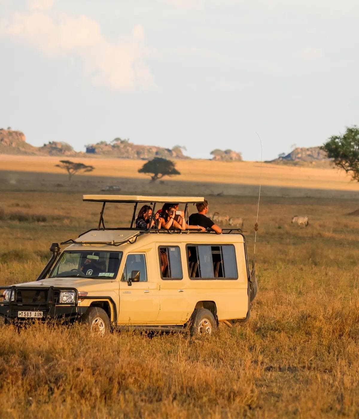 Discover Tanzania: Where Every Safari Becomes an Unforgettable Story - Image 1