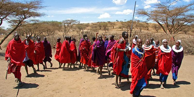 Discover Tanzania: Where Every Safari Becomes an Unforgettable Story - Image 3