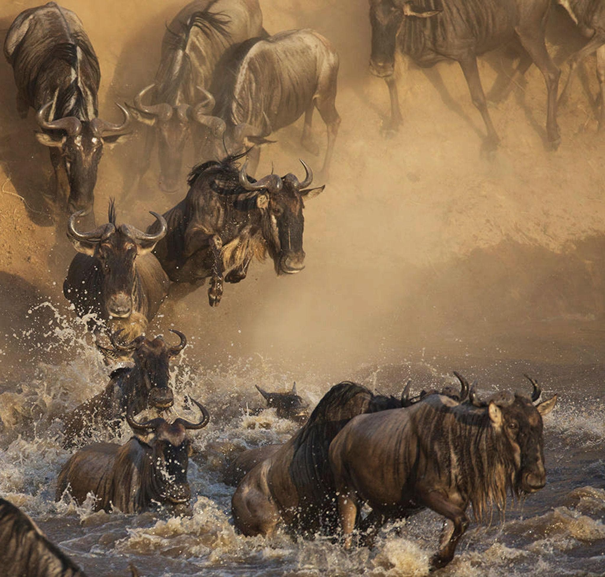 The Great Migration: Africa’s Greatest Wildlife Journey Across Tanzania’s Untamed Plains - Image 5
