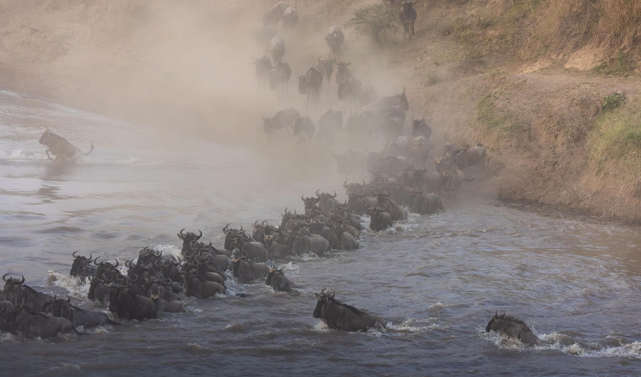 The Great Migration: Africa’s Greatest Wildlife Journey Across Tanzania’s Untamed Plains - Image 3