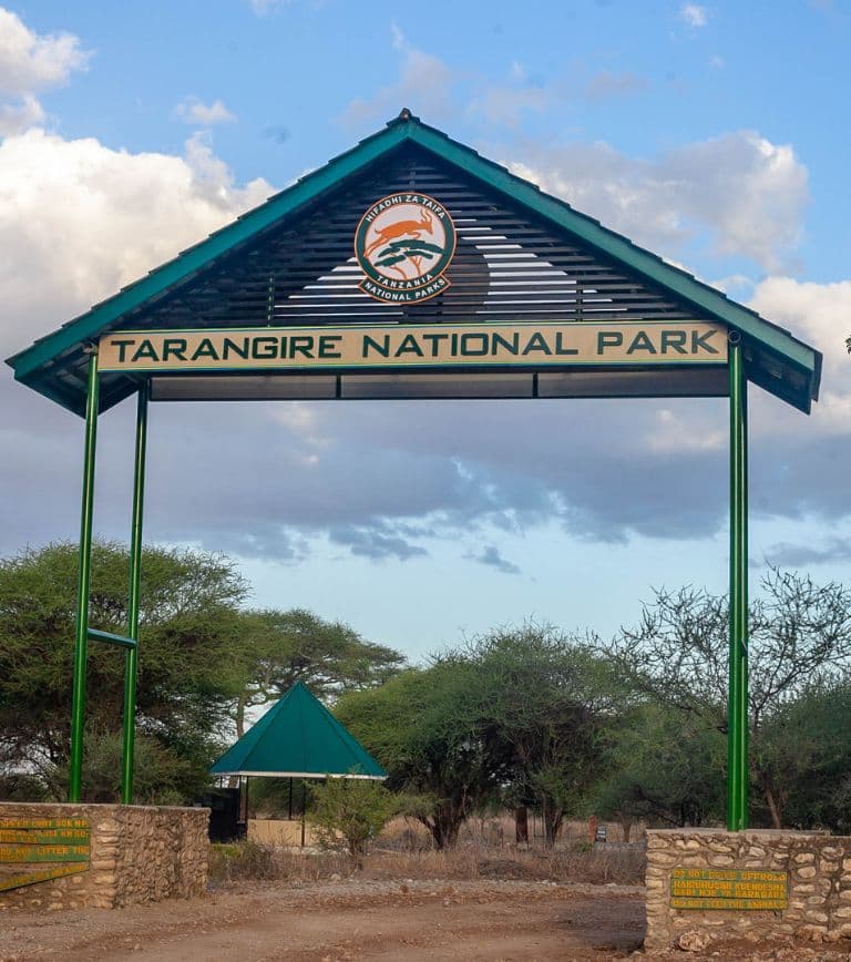 Tarangire National Park Day Trip - Image 1