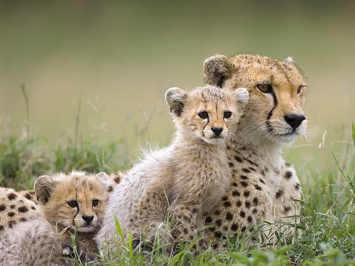Tarangire National Park Day Trip - Image 7