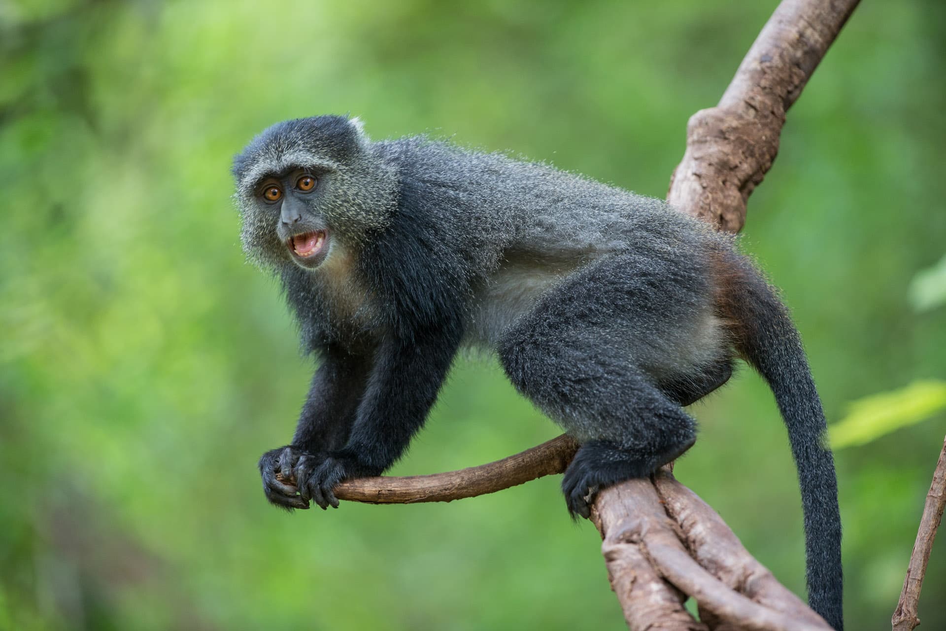 Arusha National Park Day Trip - Image 3