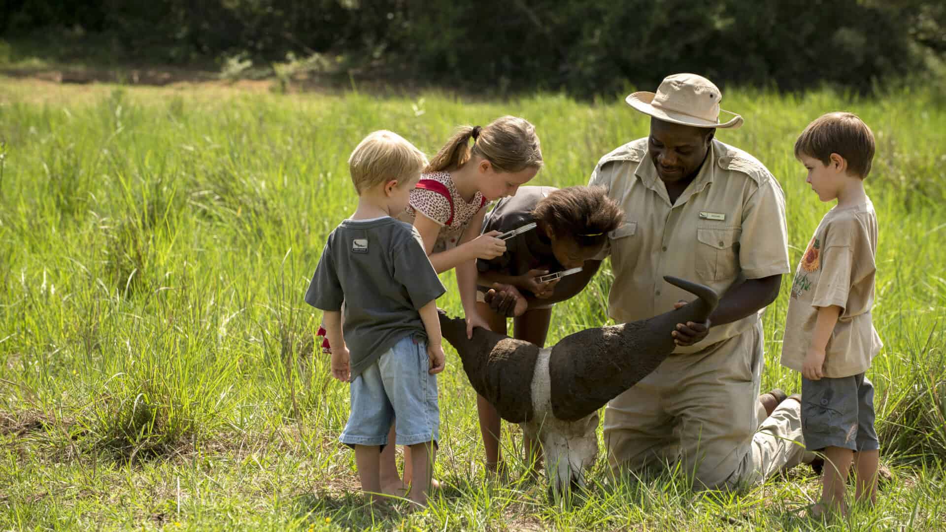 5 Exclusive-Use Safari Lodges for Unforgettable Family Adventures in South Africa - Image 1