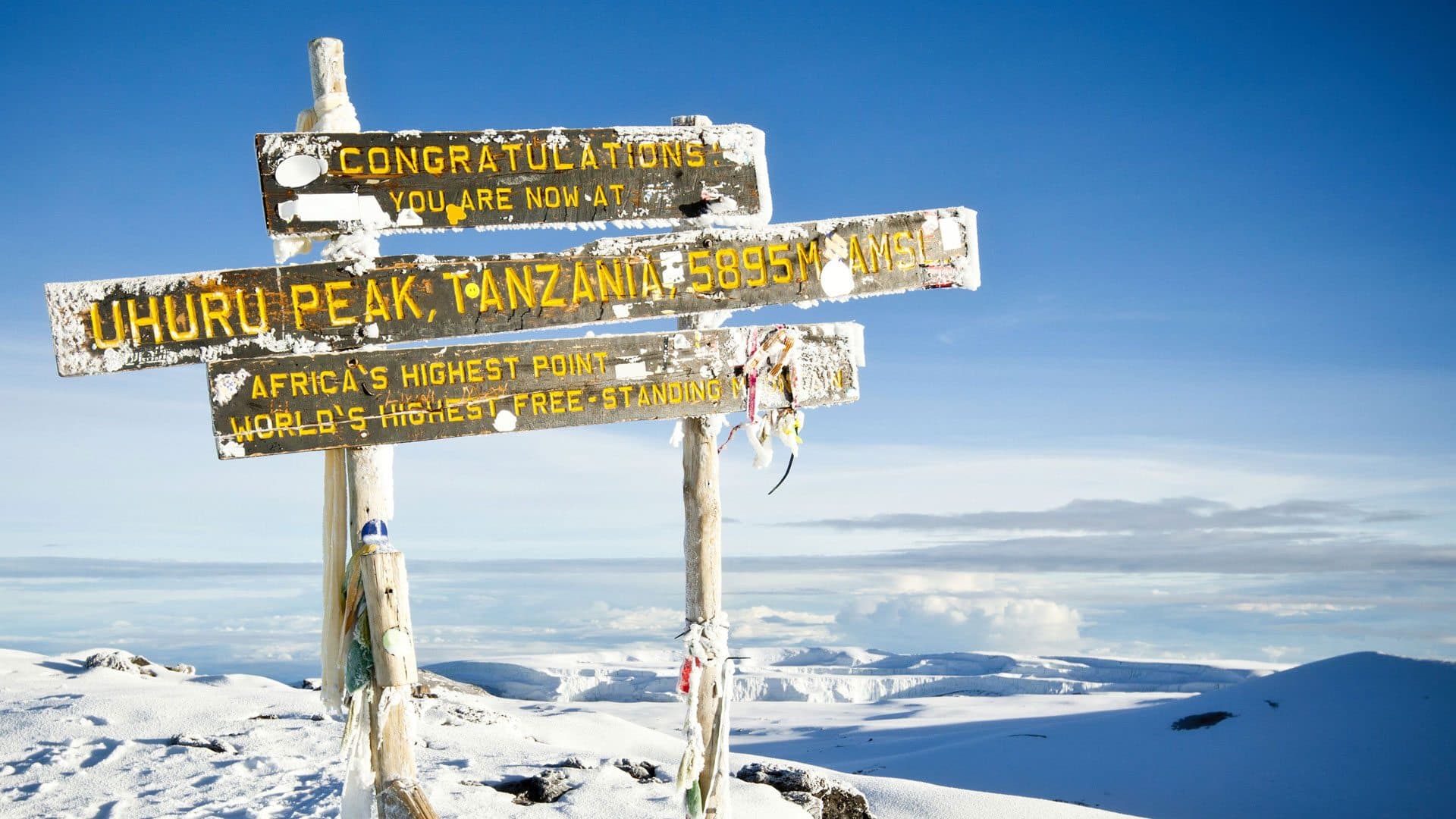 7-Day Climb Kilimanjaro via Machame Route