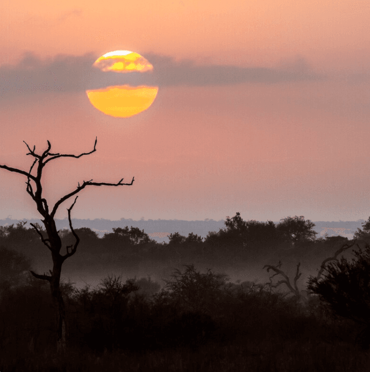 Karoo&kruger Park 7天/6晚 - 1