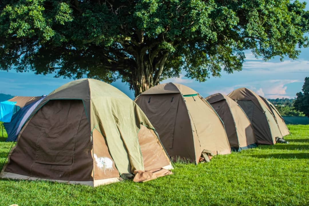 Budget camping
