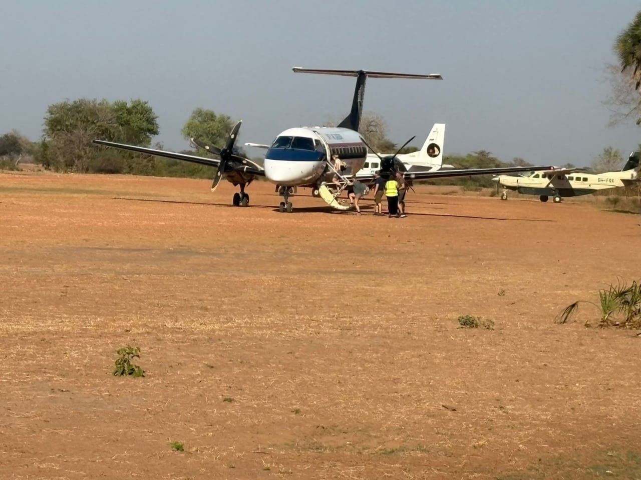 2天Tarangire Ngorongoro豪华飞行进出Safari - 2