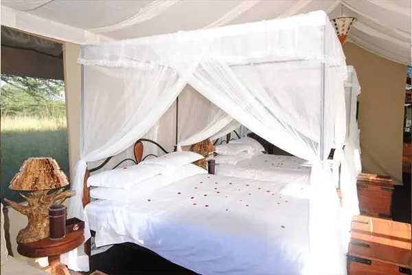 Lake Manyara Serena Safari lodge