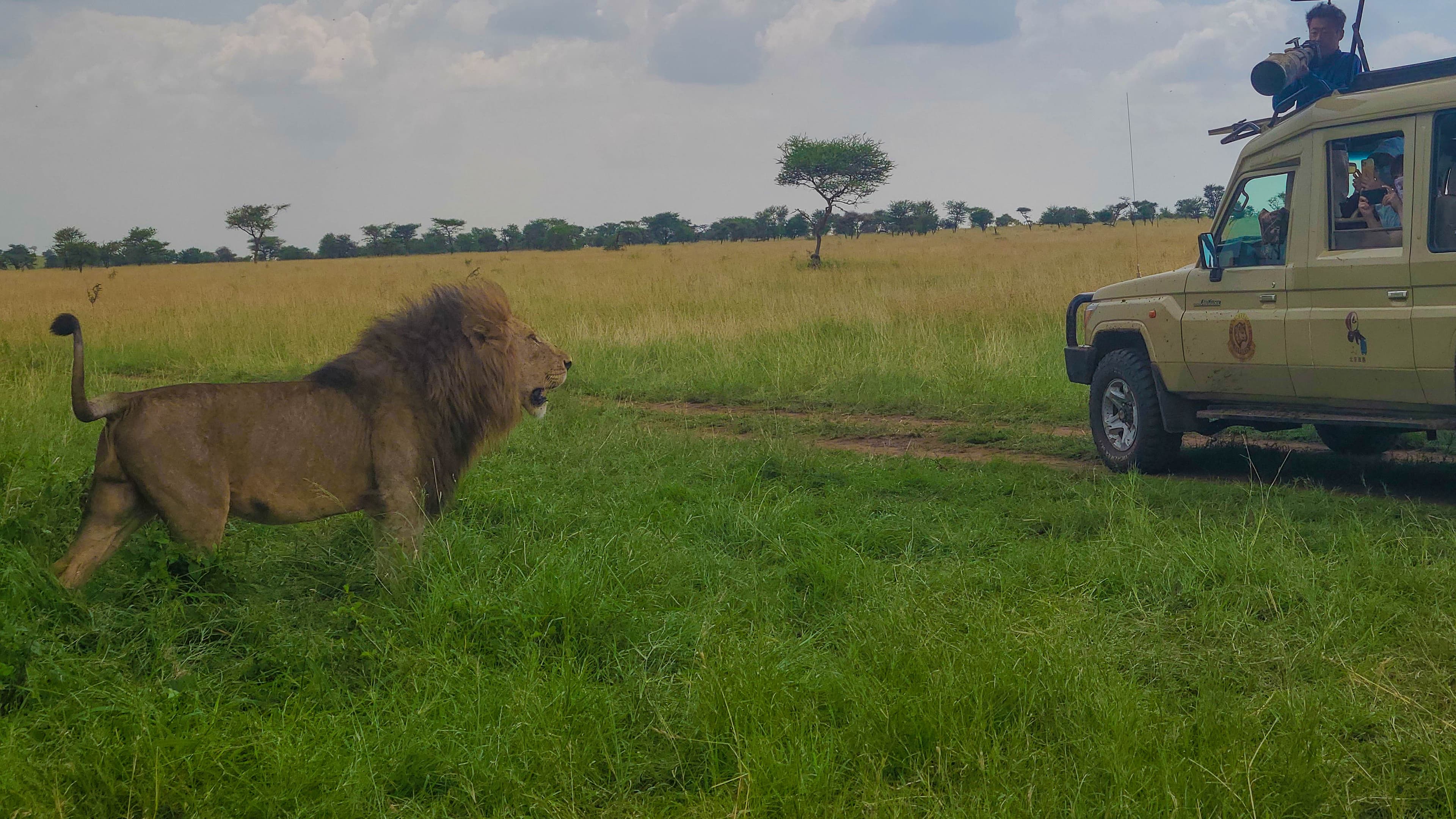 为期6天的坦桑尼亚中程Safari体验