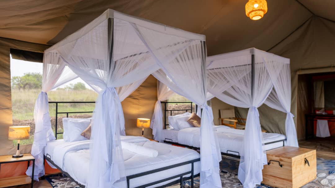 Summit Safari Lodge