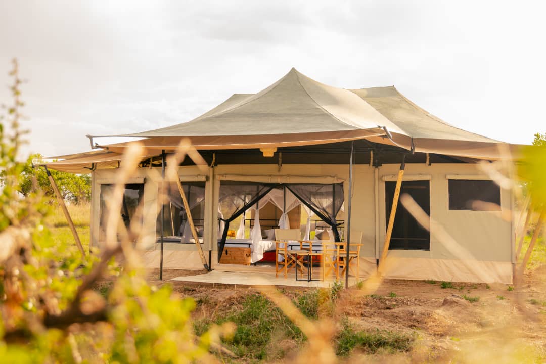 Tanzania Bush Camps -