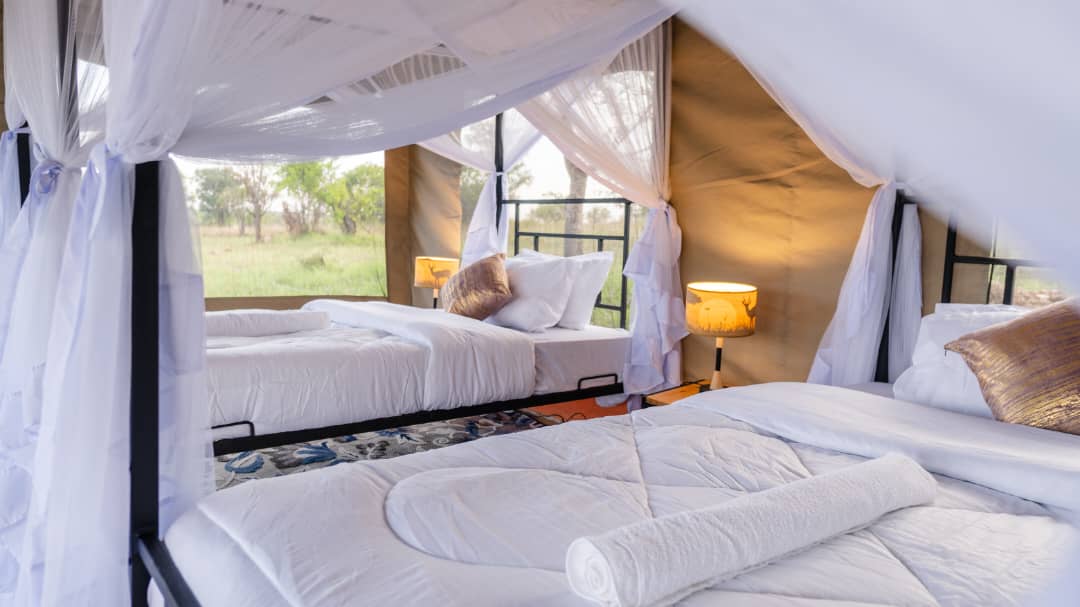 Four Seasons Safari Lodge