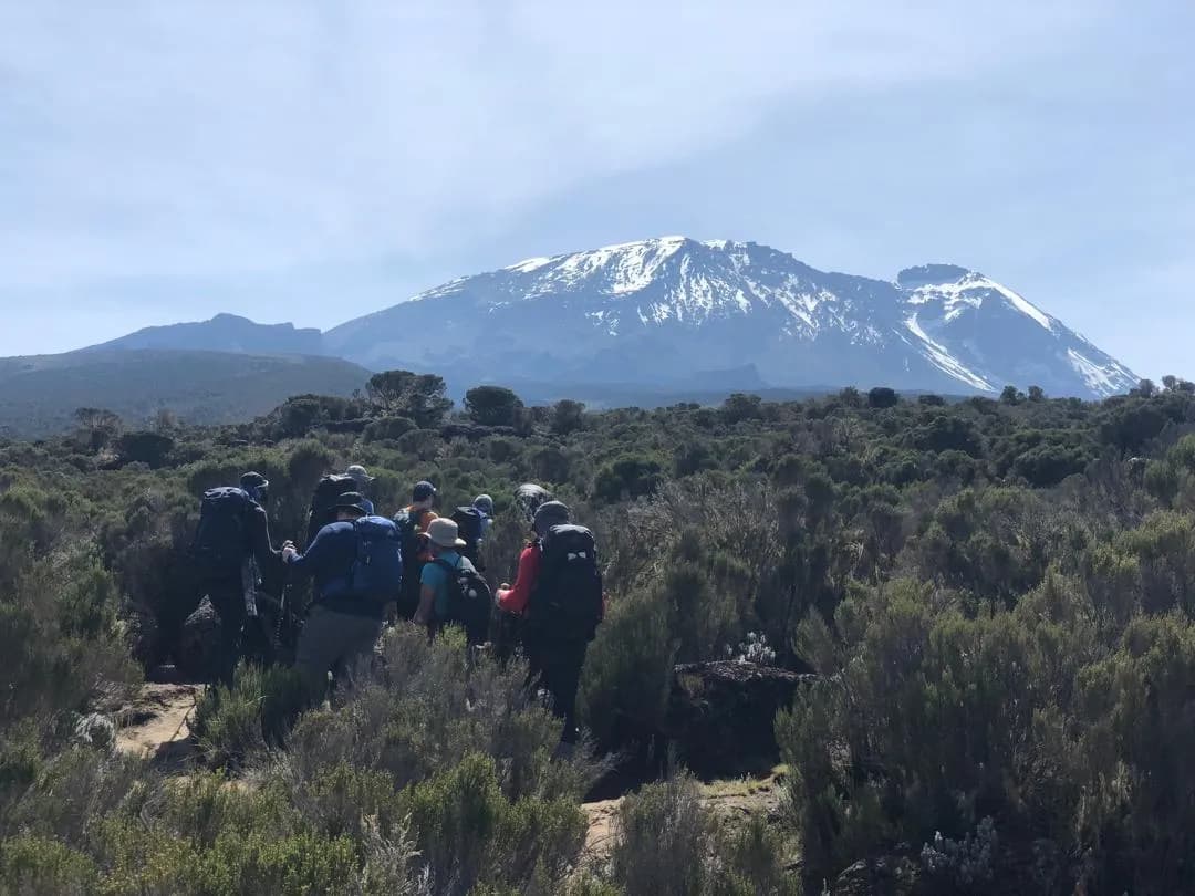 7天乞力马扎罗山徒步-勒莫绍路线 - 2