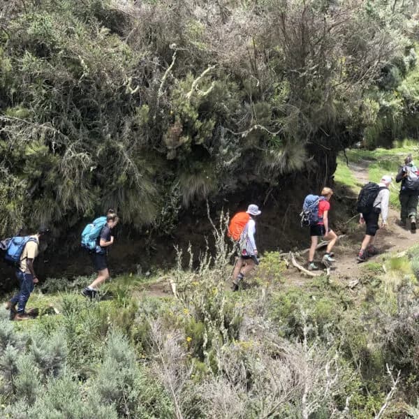 4天梅鲁山徒步旅行 - 2